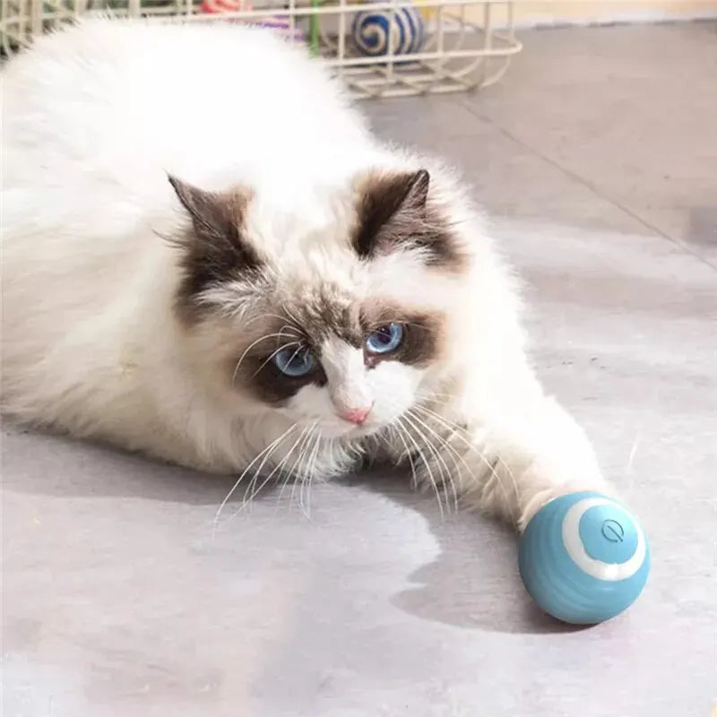 Power Ball 2.0 Cat Toy, Interactive Cat Smart Ball Toy 2.0, Automatic Power Rolling Ball, Automatic Moving Rolling Ball for Indoor Cats, Smart Pet Toy Ball with USB Charging (Pink & Blue)